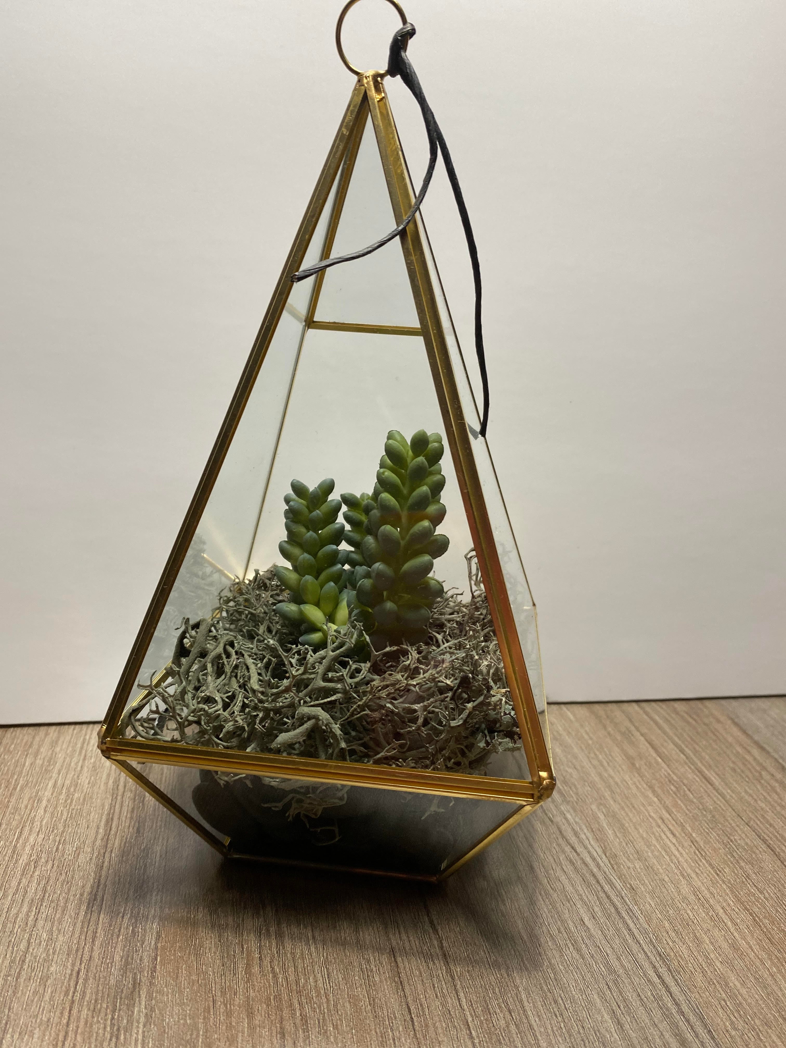 Terrarium - Grand