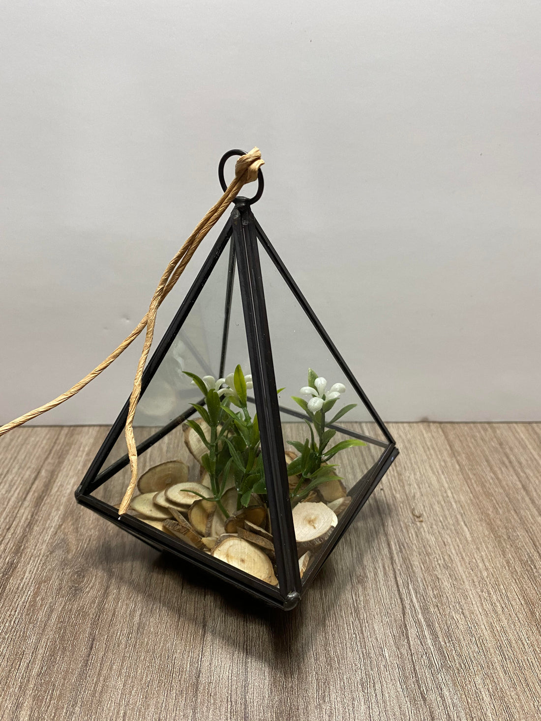Terrarium - Petit