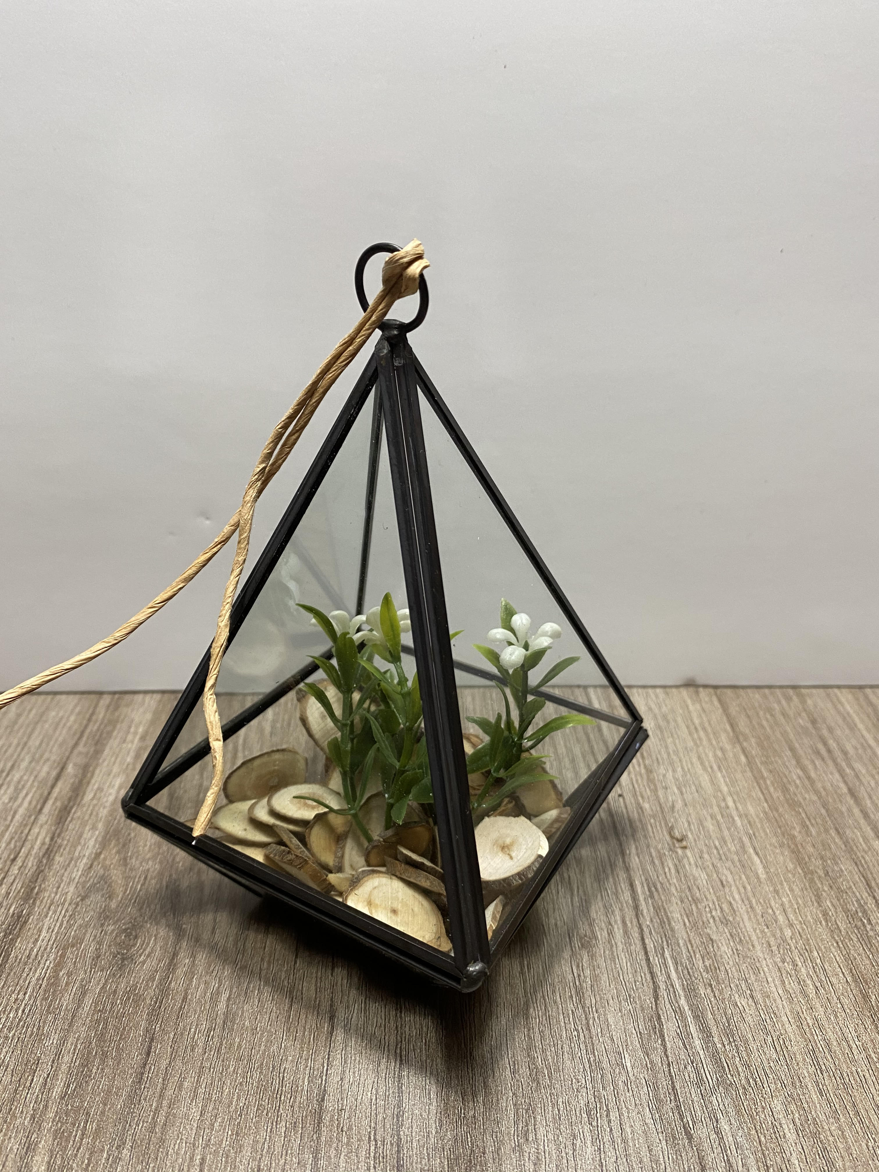 Terrarium - Petit