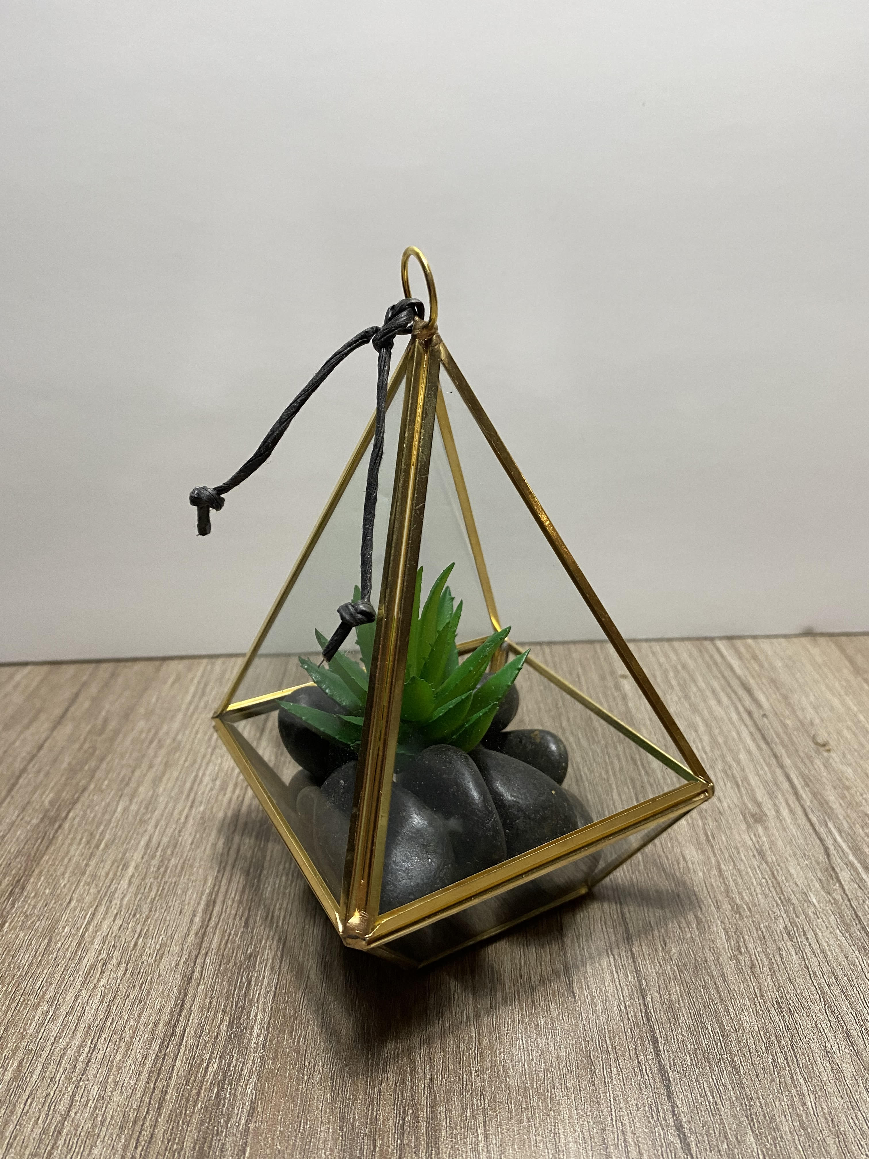 Terrarium - Petit