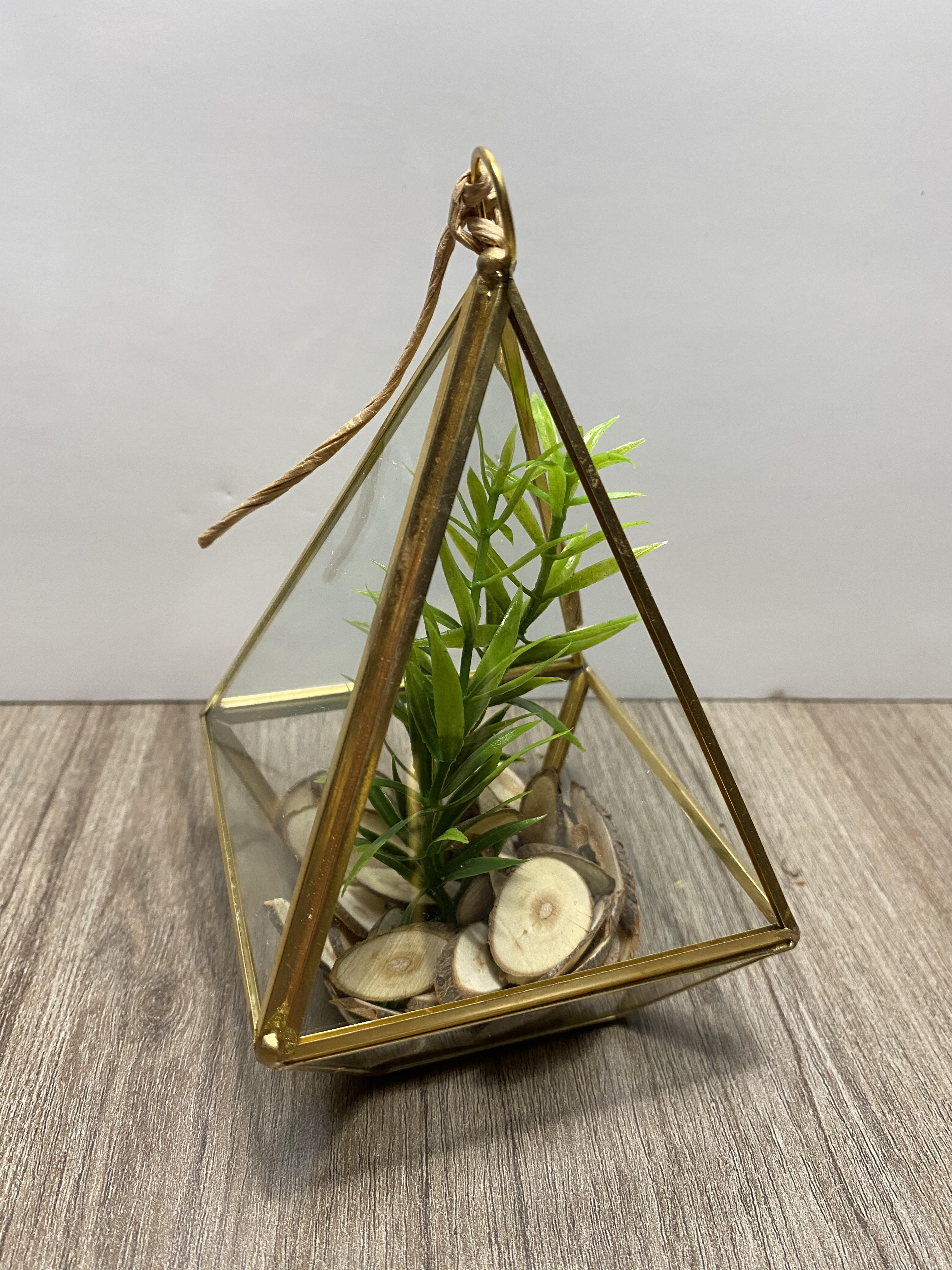 Terrarium - Petit