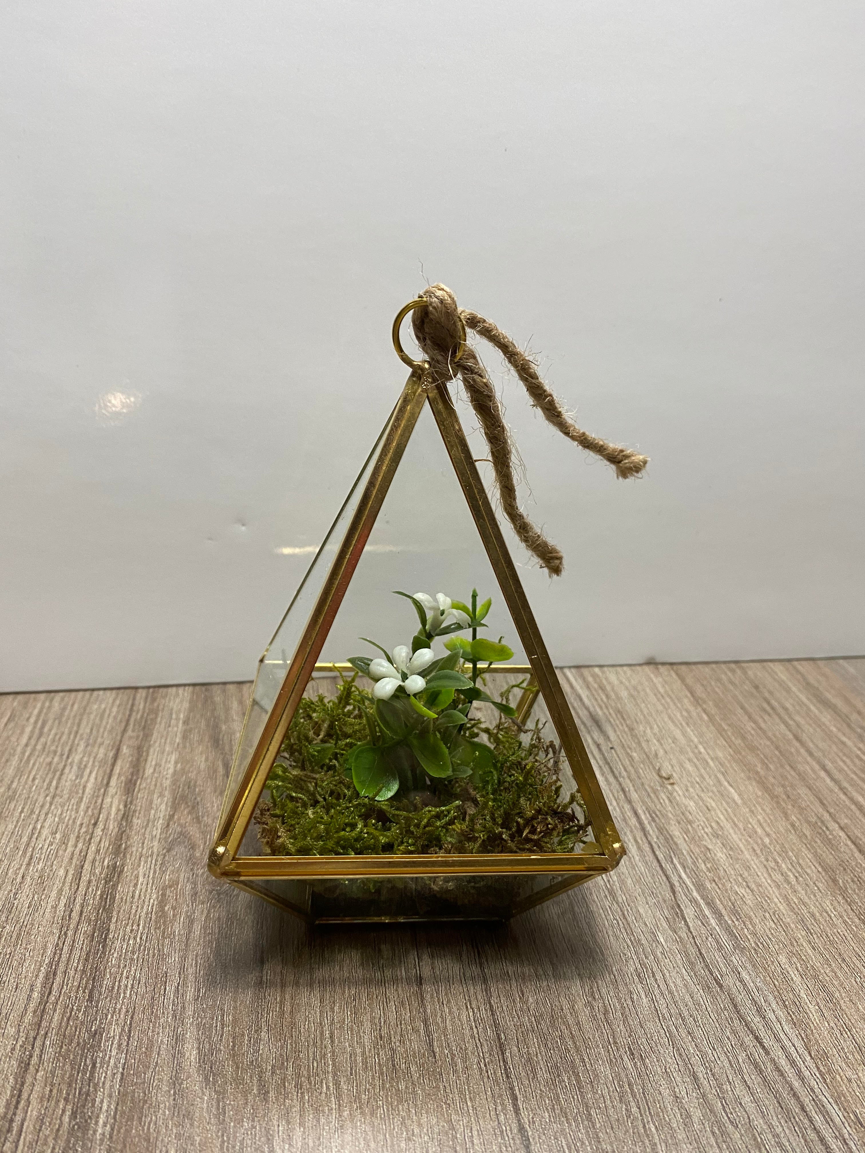 Terrarium - Petit